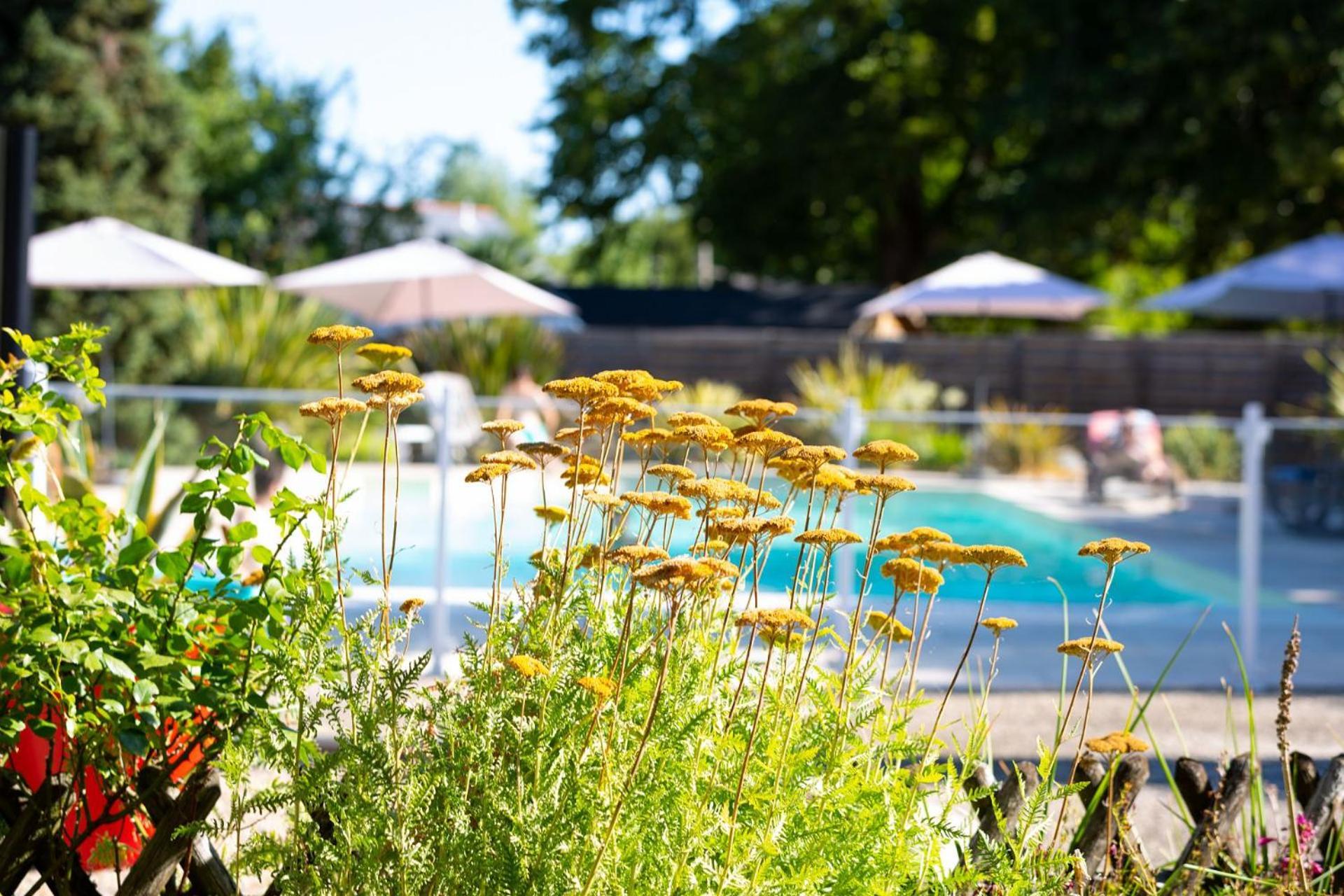 Hotel Mileade Le Domaine De La Blairie - Saumur Saint-Martin-de-la-Place 외부 사진